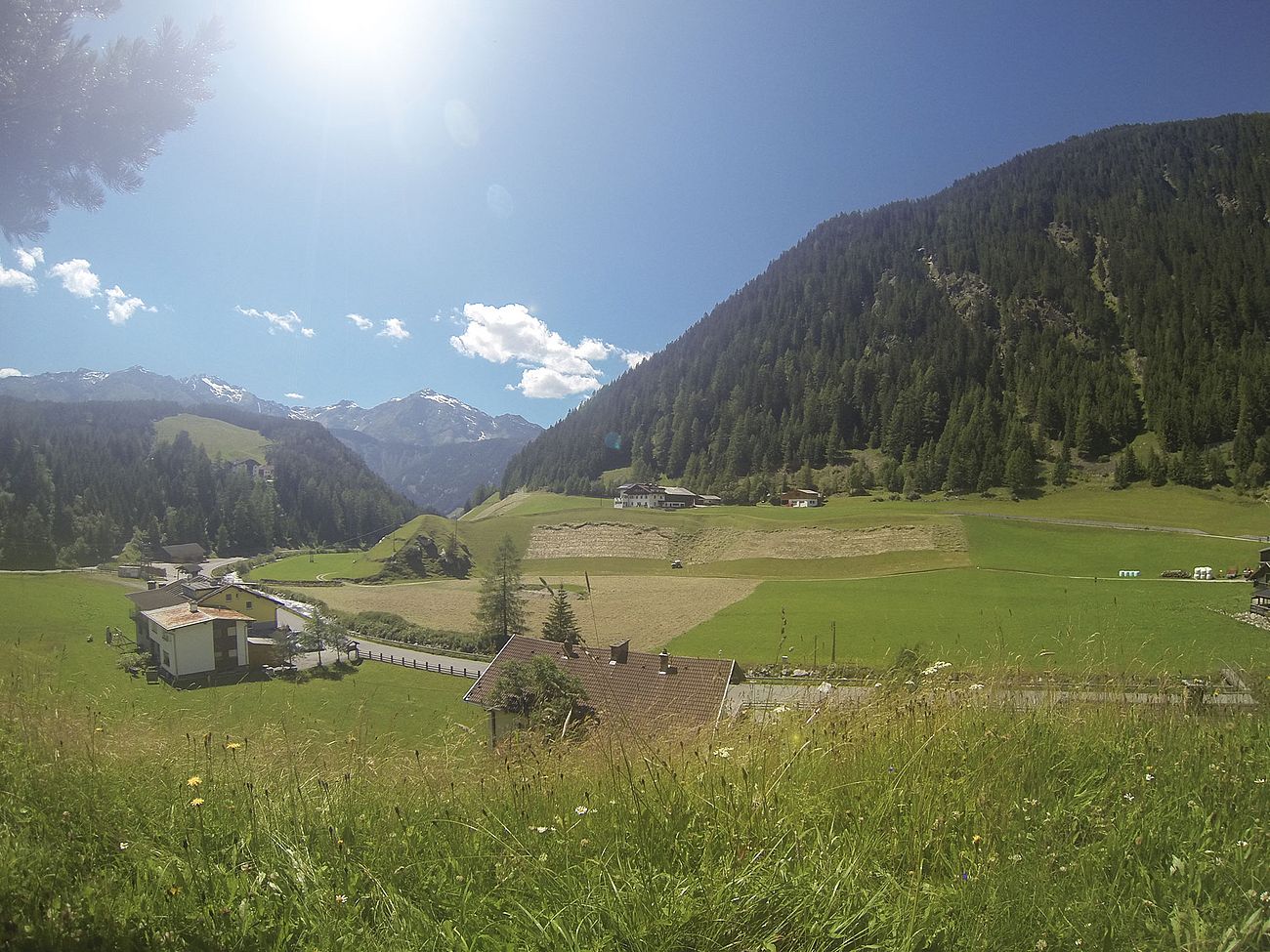 Sommerfrische in Niederthai