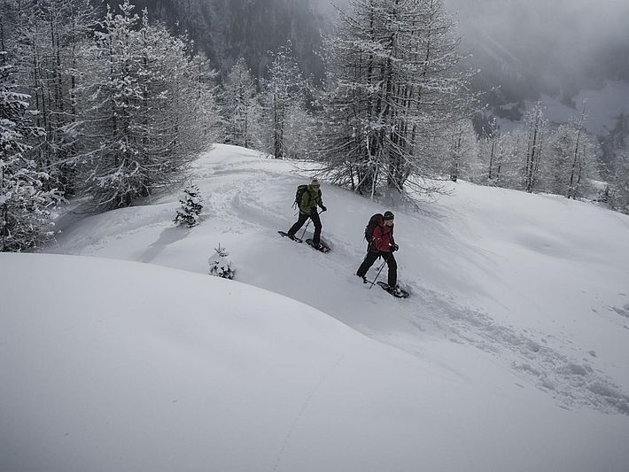 Schneeschuhwandern in Niederthai