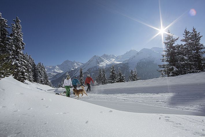 Rodeln im Winterurlaub im Ötztal