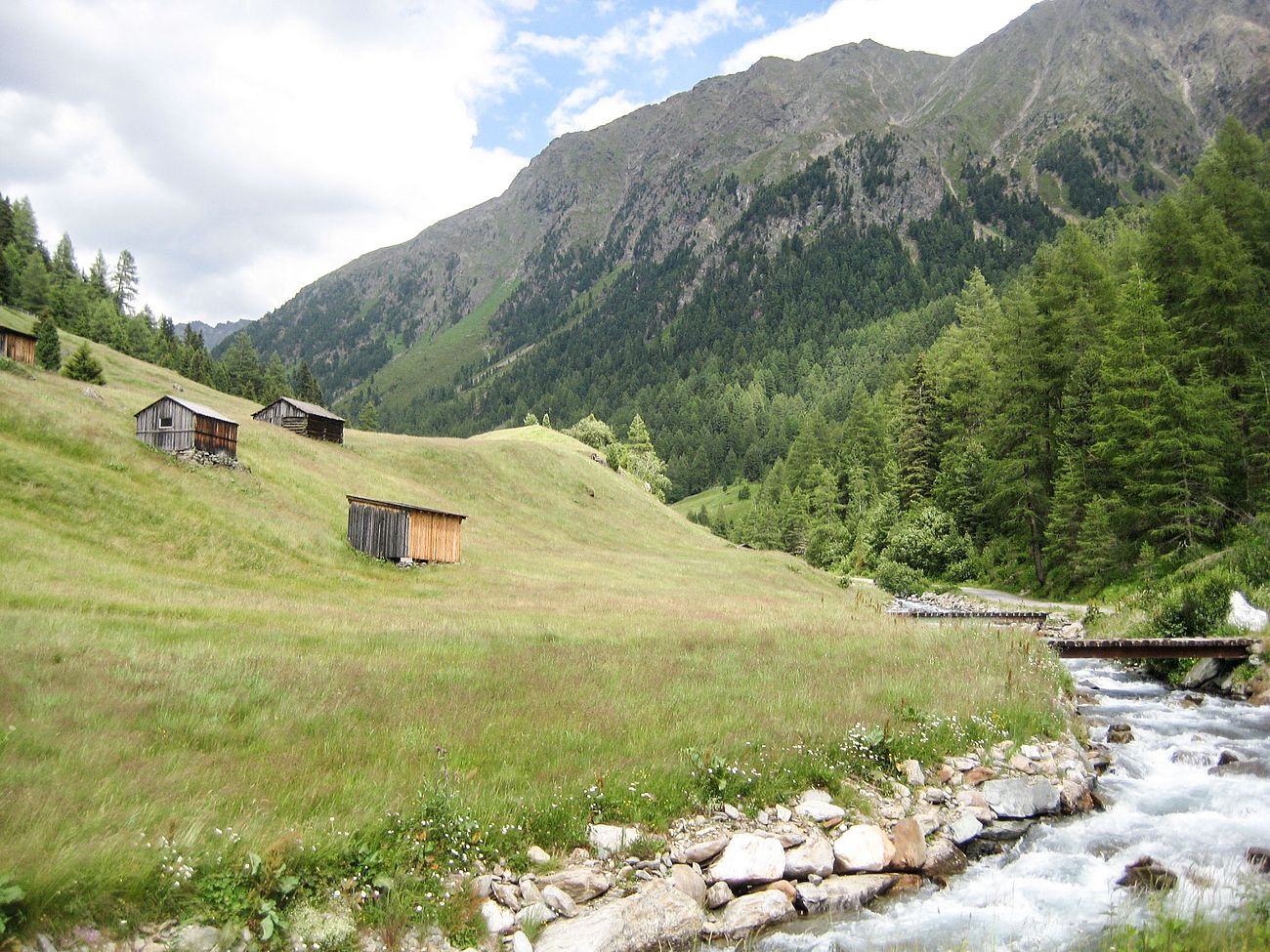 Felder in Niederthai im Ötztal